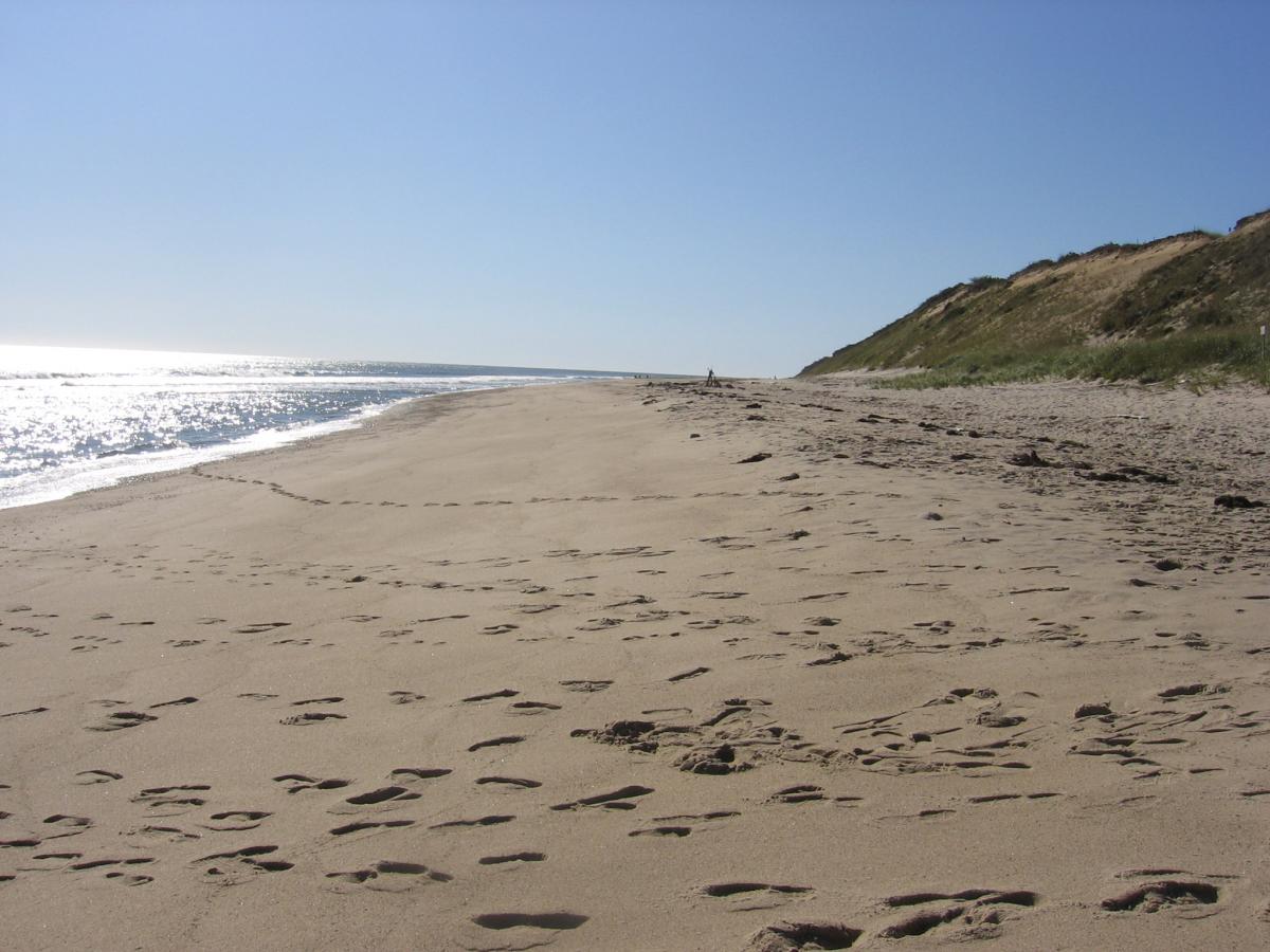 6 beaches national seashore cape cod