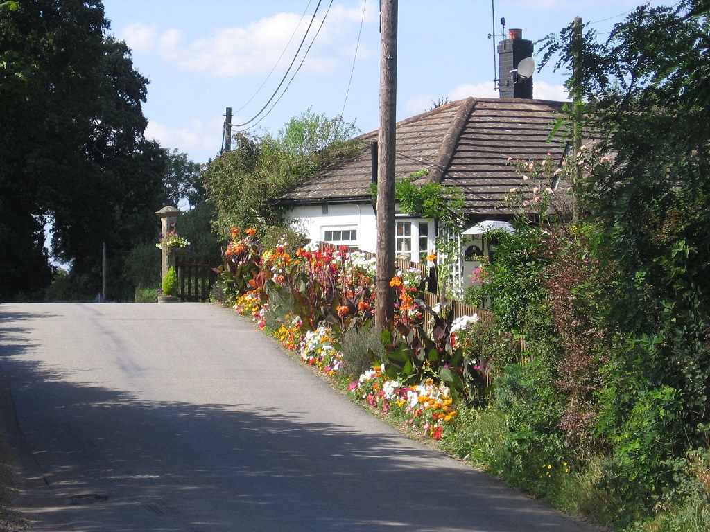 2CottageinNewForestsm.jpg