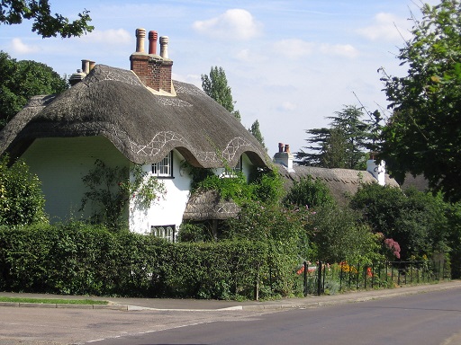 8ThatchedCottageNewForest2.jpg